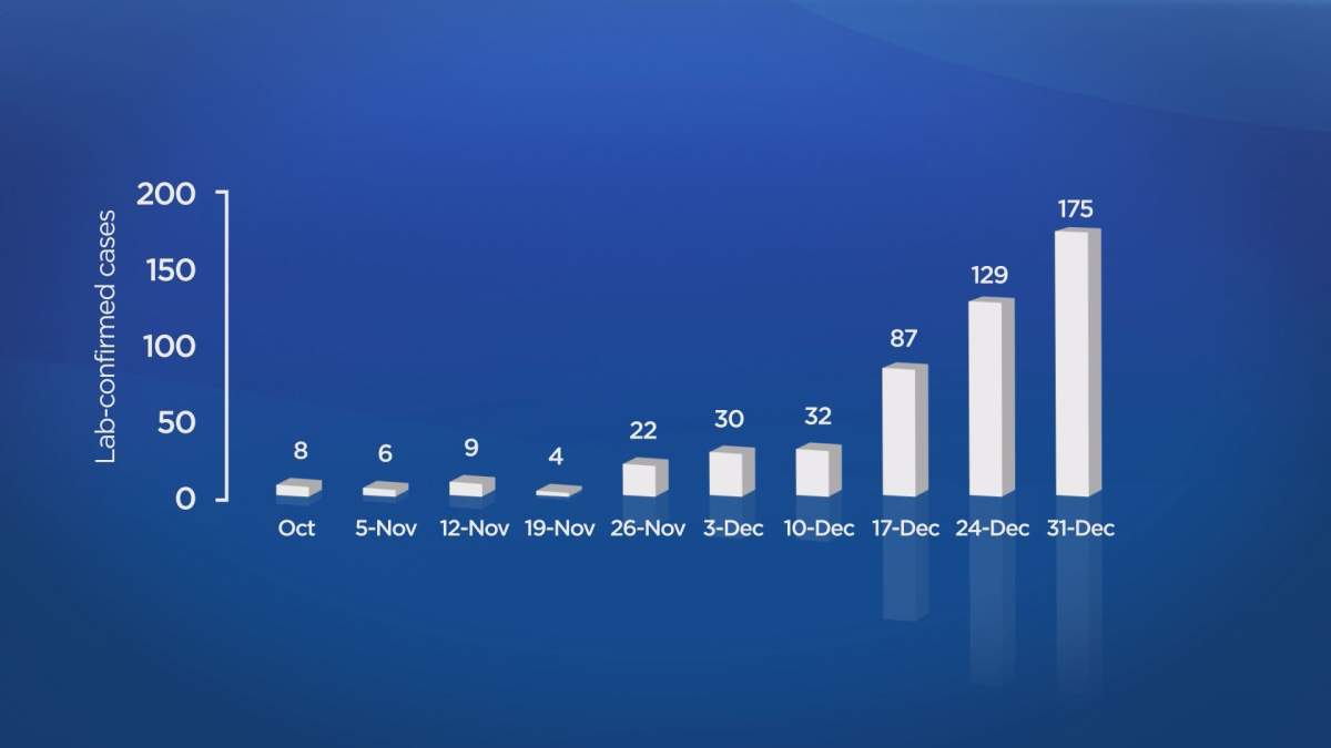 Flu cases documented by the Ministry of Health.
