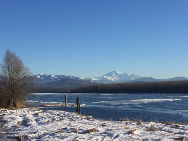Ice floes seen on the Fraser River in January 2017.