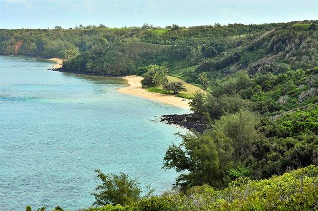 This Jan. 15, 2017 file photo shows public Pilaa Beach below hillside and ridge top land owned by Facebook CEO Mark Zuckerberg, near Kilauea on the north shore of Kauai in Hawaii.