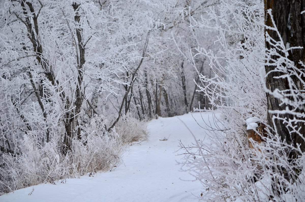 Roxanne Perrson, Edmonton.