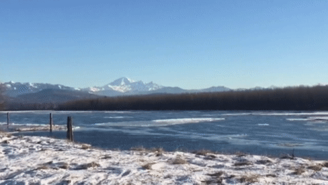 PHOTOS: It’s so cold in Vancouver ice is floating down the Fraser River - image