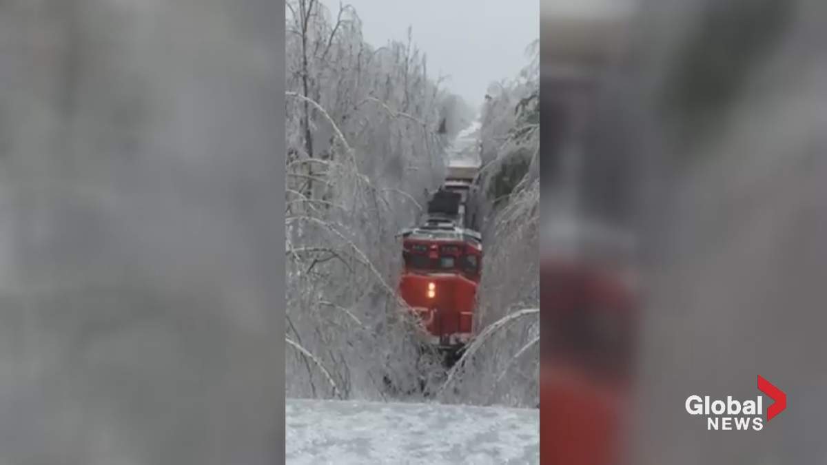 A CN Rail train slowly makes its way through ice-laden trees.