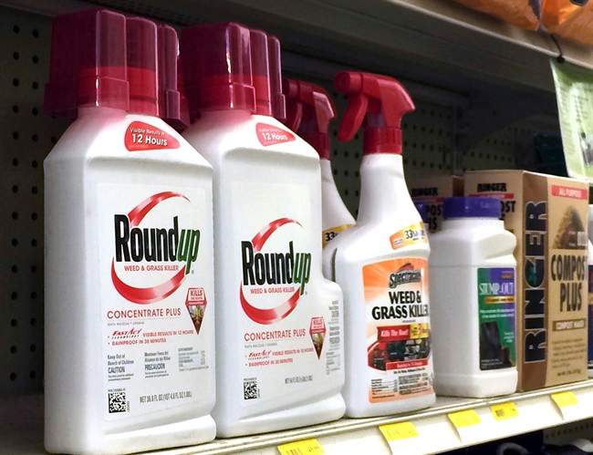 Containers of Roundup, left, a weed killer is seen on a shelf with other products for sale , Jan. 26, 2017.