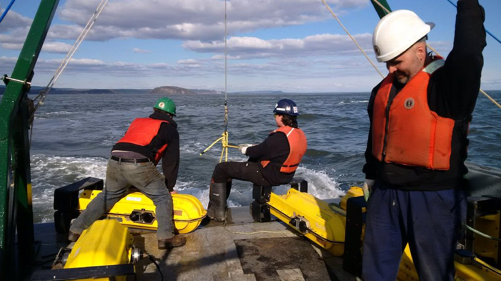 Dalhousie University's Ocean Tracking Network has been granted $11.4 million from the federal government for their ocean research operations. 