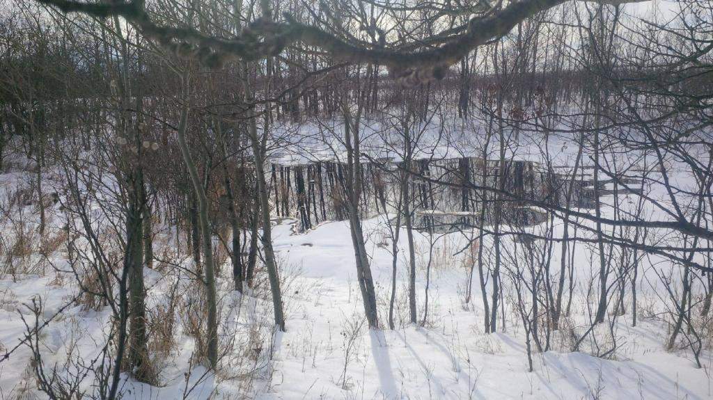 Photo taken of oil spill on Ocean Man First Nation on Jan. 20.