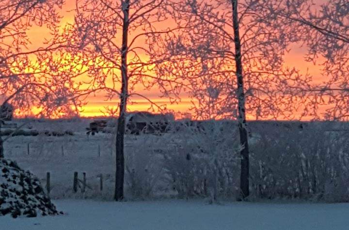 Jan. 28: This Your Saskatchewan photo was taken by Shelagh Hockley in Kenaston.