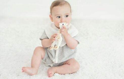 Sophie the Giraffe teethers can grow mold, it appears. Here's how that can be prevented, according to health experts.