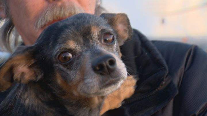Spike survived nearly two days in the freezing Alberta temperatures.