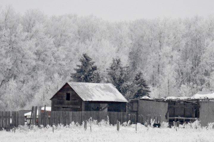 Jan. 15: This Your Saskatchewan photo was taken by Ariane Muirhead near Fort Qu'Appelle.