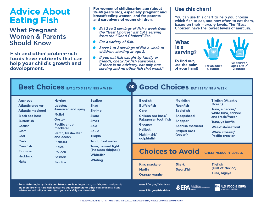 Fish that pregnant women shouldn’t eat (and options that are safe) - image