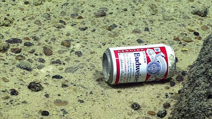 A beer can seen at 3,780 meters depth at Enigma Seamount. (Courtesy of Noaa Office of Ocean Exploration)