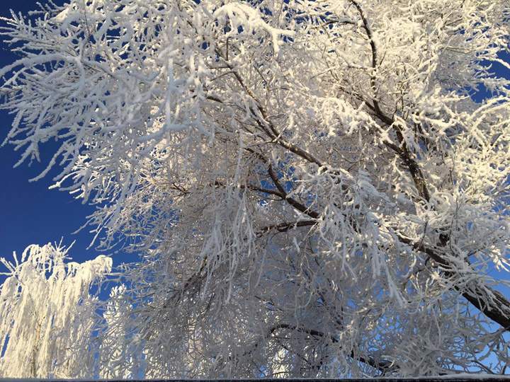 Feb. 16: Jame Babcock snapped this Your Saskatchewan photo in Vawn.