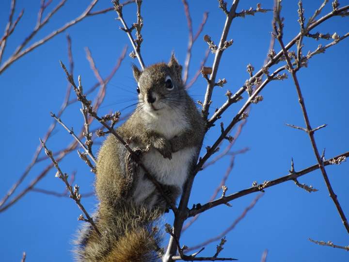 Feb. 28: Diane Kacher took this Your Saskatchewan photo near Aberdeen.