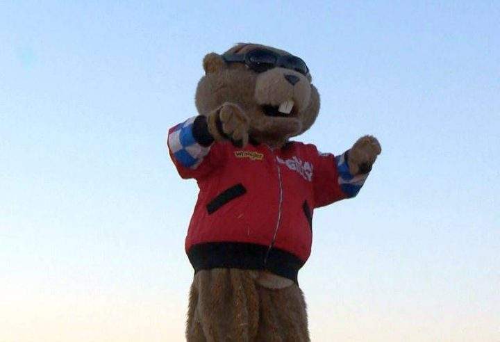Balzac Billy emerged from his burrow in 2017 with a prediction Albertans would see six more weeks of winter.
