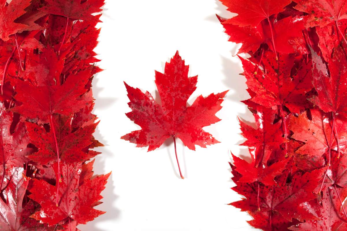 Canadian flag.