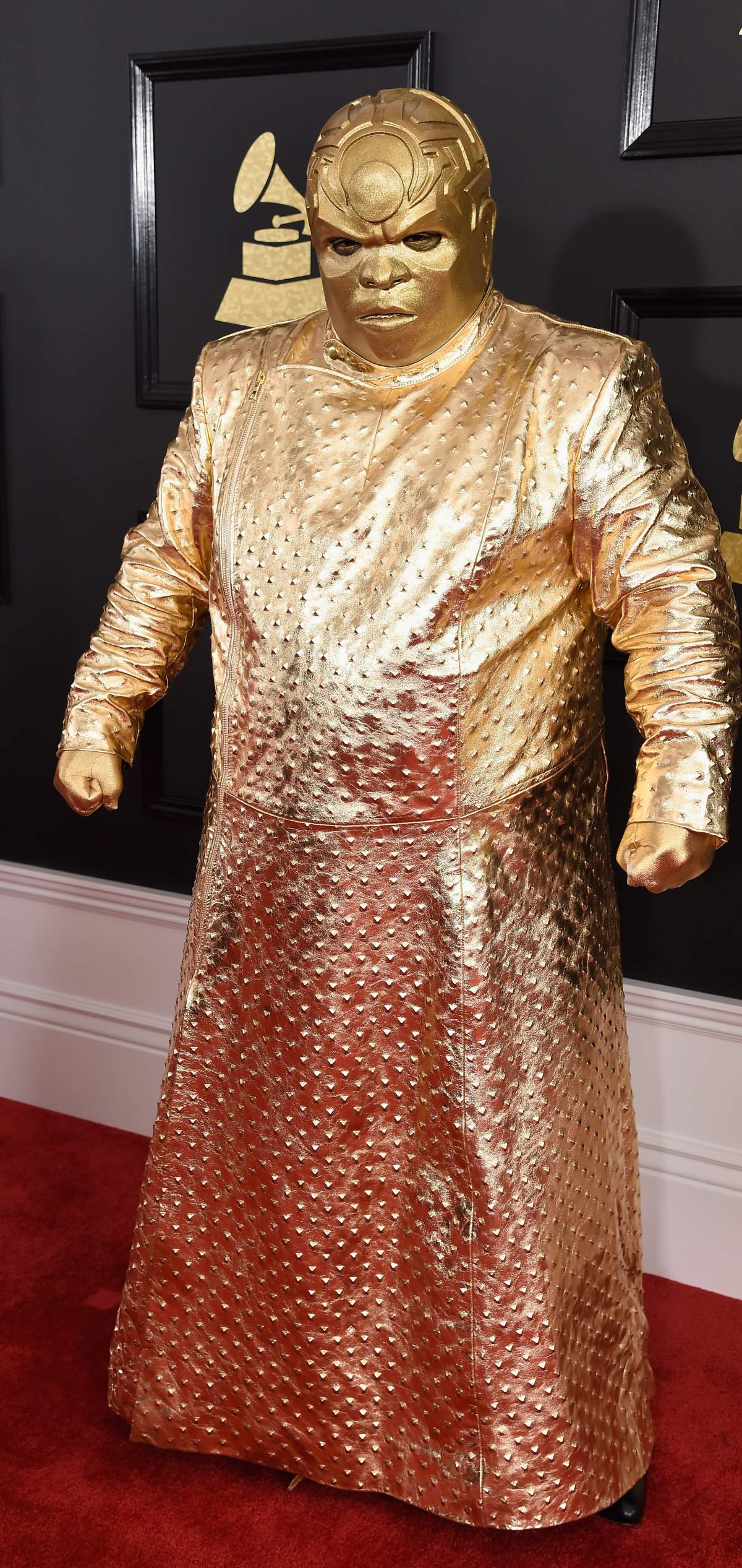 Grammy Awards 2017: Best red carpet looks - image