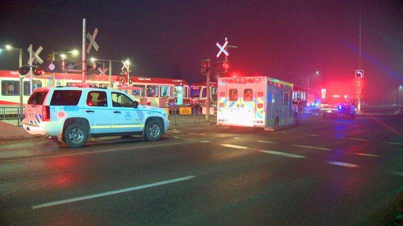 Pedestrian killed by CTrain at Whitehorn LRT Station was ‘distracted by his cellphone’: Calgary police - image