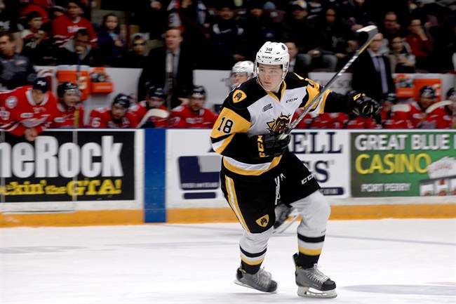 Hamilton Bulldogs forward Matthew Strome scored one of his team's six goals in Game 1 of their OHL playoff series against the Ottawa 67's.