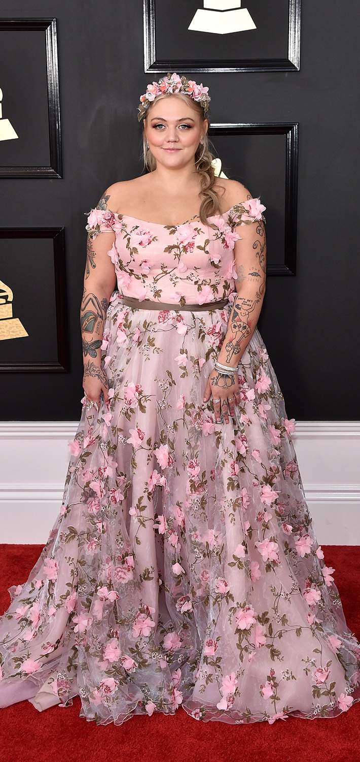 Grammy Awards 2017: Best red carpet looks - image