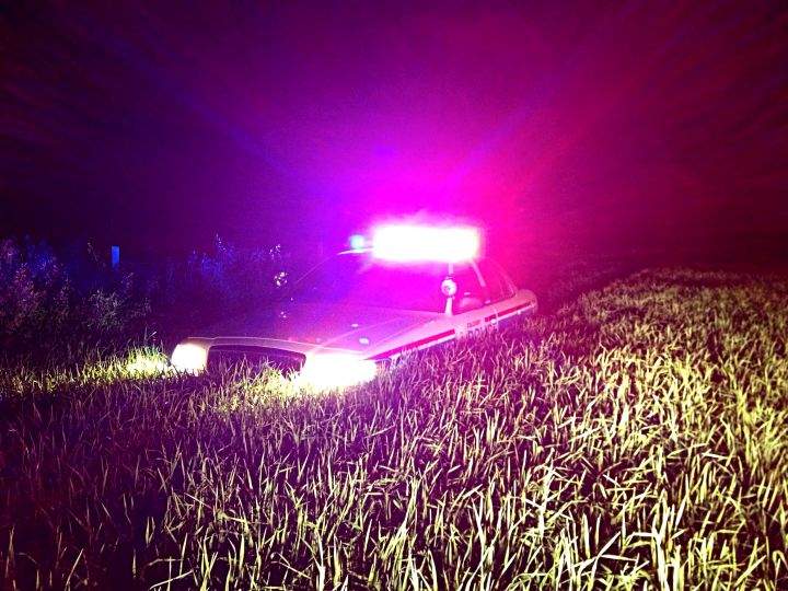 A police cruiser in the grass during the arrest of Douglas Garland.