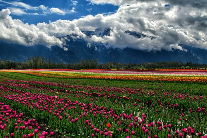 Farms in Metro Vancouver could see an almost year-round growth season by 2080.