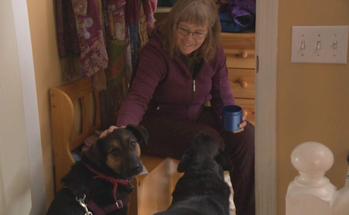 What are the psychological benefits of spending time with dogs? - image