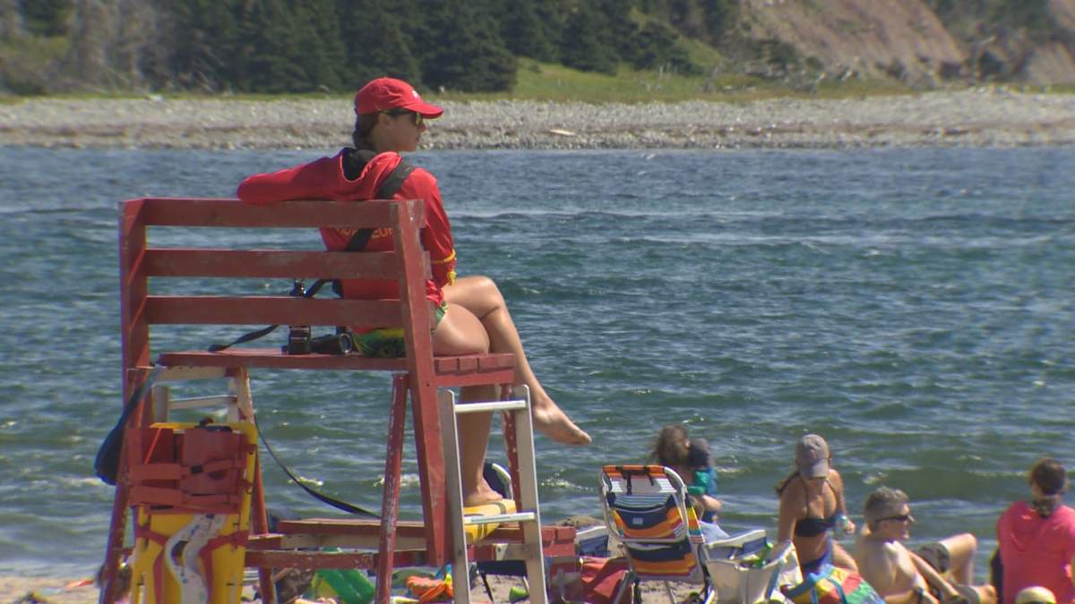 Halifax councillors balk at proposed cuts to parks and rec budget - image
