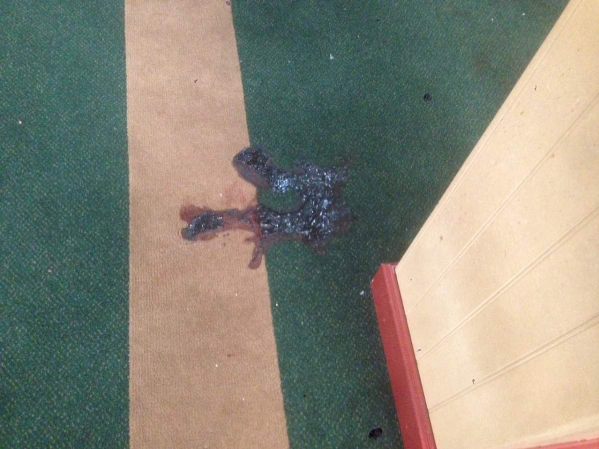 Blood stains on the ground inside the Quebec City mosque that was attacked on Sunday, Jan. 29, 2017.
