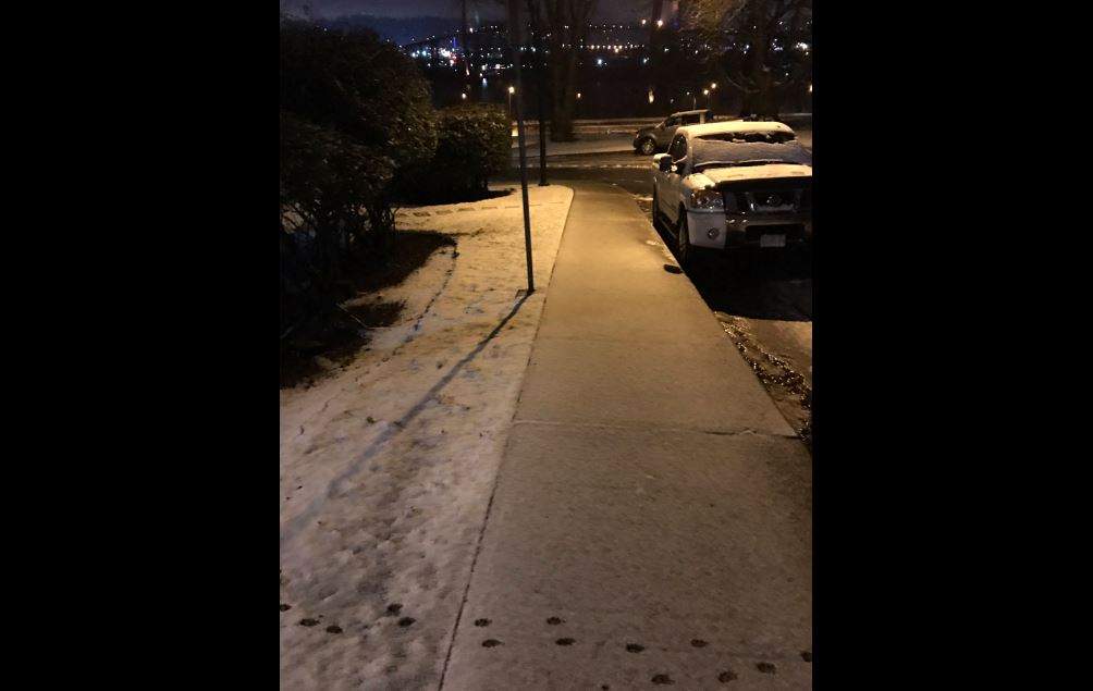 A fresh dusting of snow in New Westminster Friday morning.