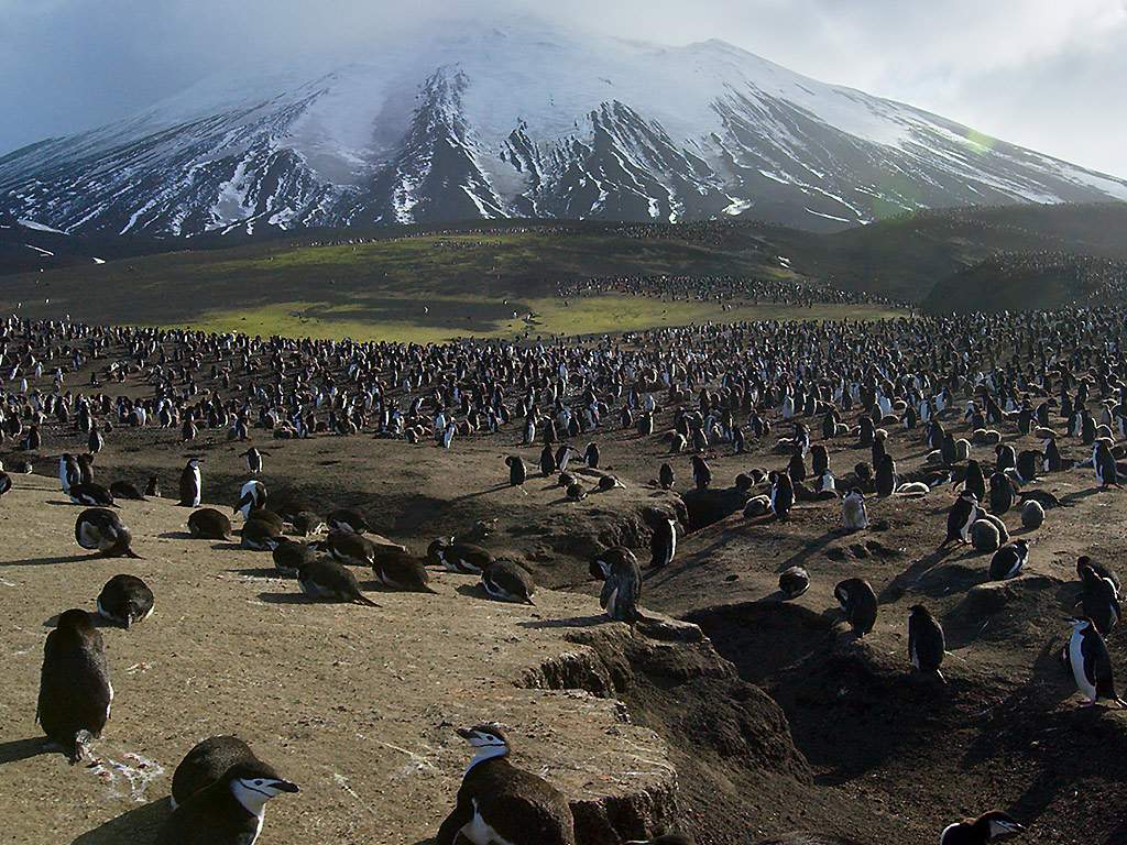 ‘Planet Earth II’ review: 9 things to know about the nature docuseries - image