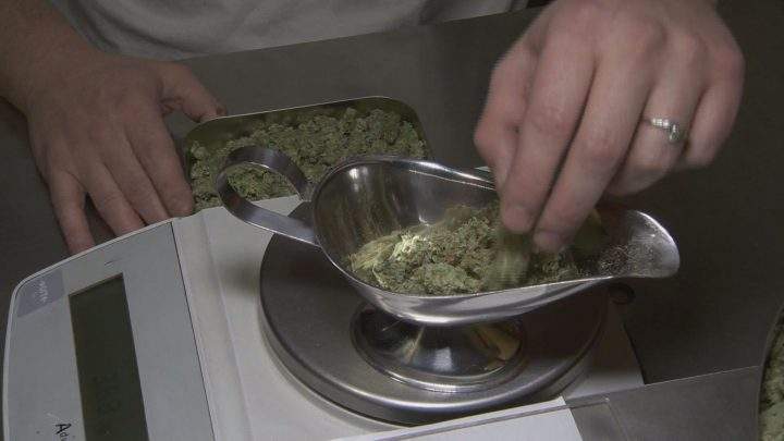 Sask. construction industry concerned about workplace safety once marijuana legalized - image