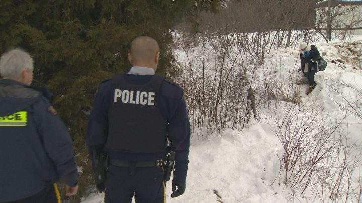 Group seeks to have Saskatoon declared sanctuary city - image