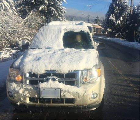 From ‘beached’ snow orcas to snowboarding in the streets, B.C. residents are embracing the snow - image