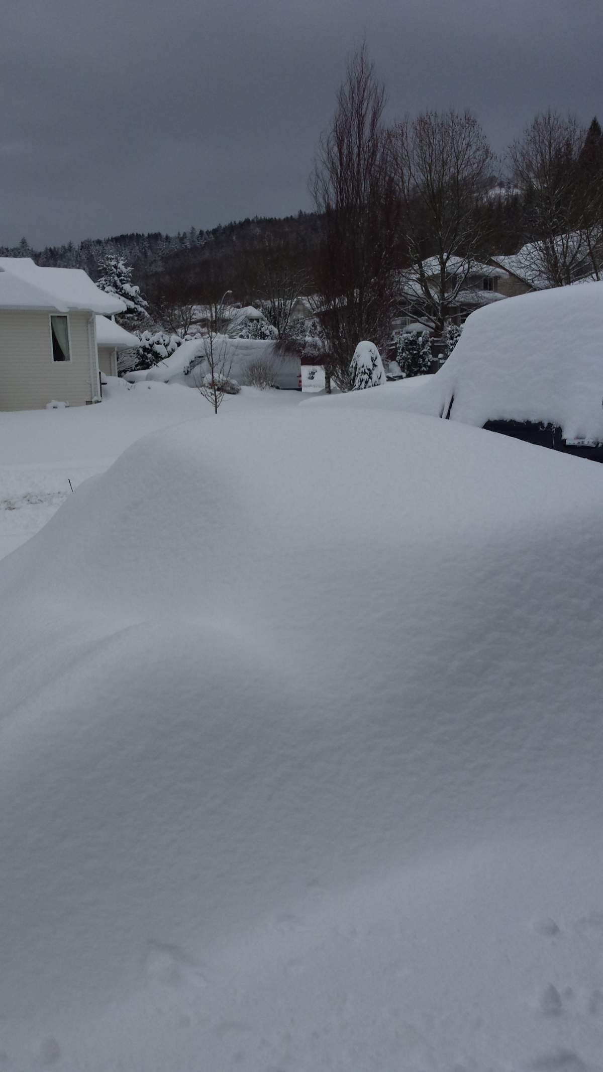 There’s a car under there somewhere. Chilliwack, B.C.