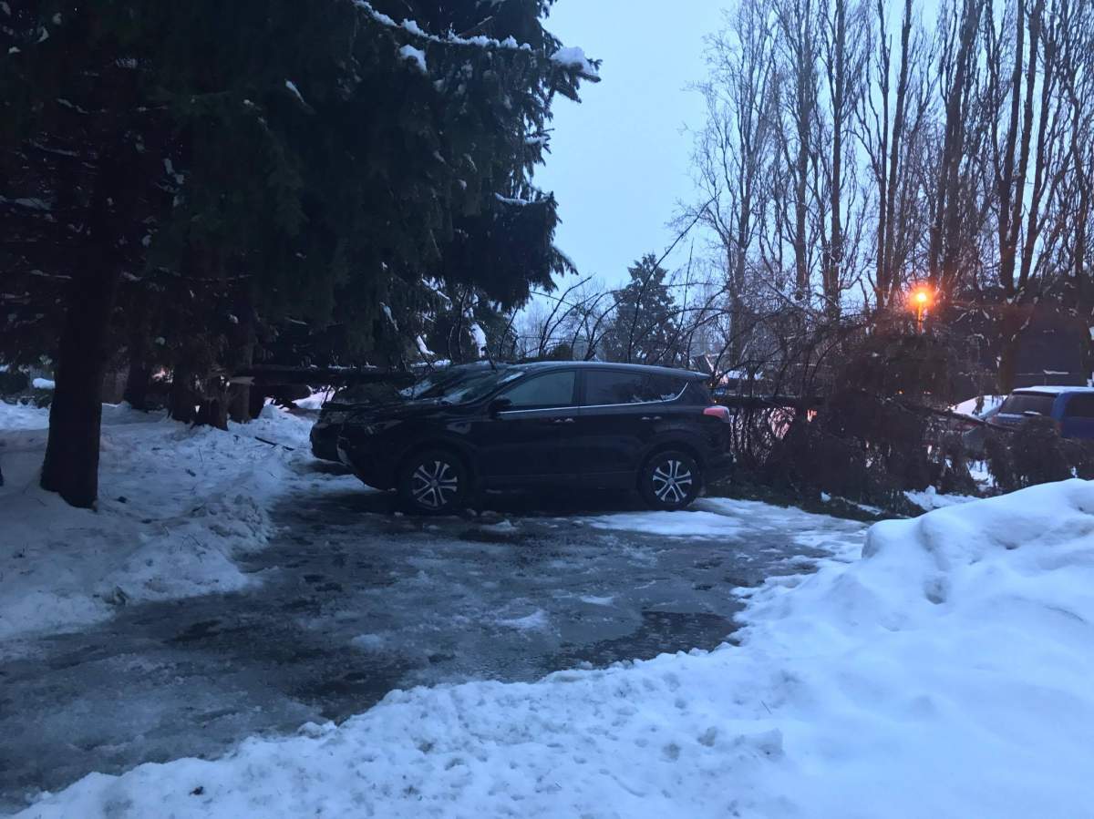 Tree on a car in Surrey on 108 Avenue. Credit: Leon Pickens, Facebook