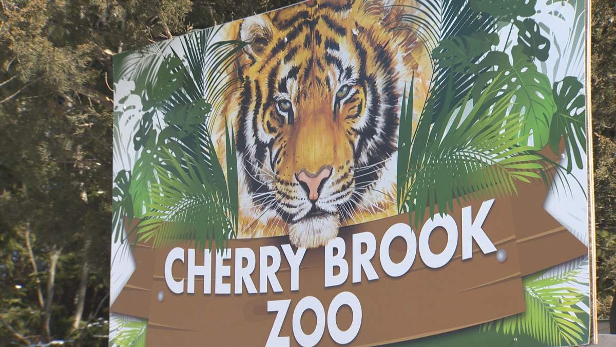The SPCA investigated an incident at Cherry Brook Zoo in Saint John, N.B.