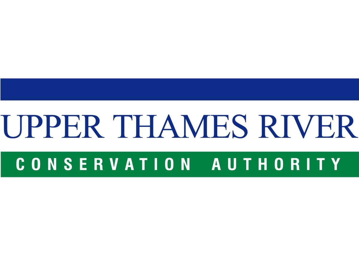 UTRCA issues flood bulletin over high water levels - image