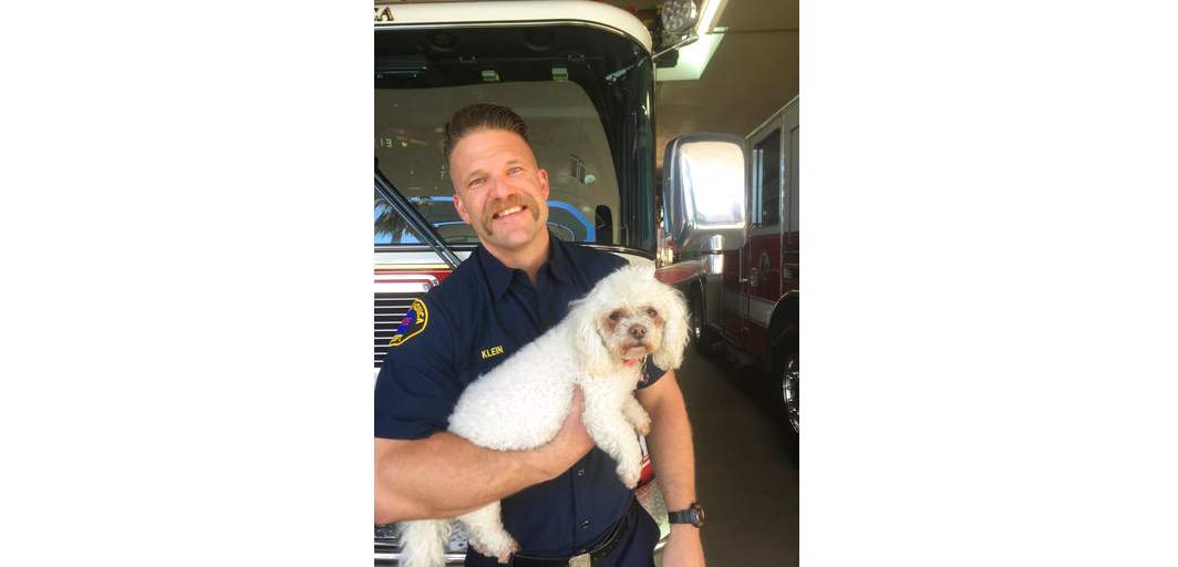 In this photo released by dog owner Crystal Lamirande, Santa Monica Firefighter Andrew Klein holds Nalu in Santa Monica, Calif., on Thursday, March 23, 2017. Klein spent several minutes giving mouth-to-snout resuscitation to the dog, who was pulled from a burning apartment in Santa Monica.