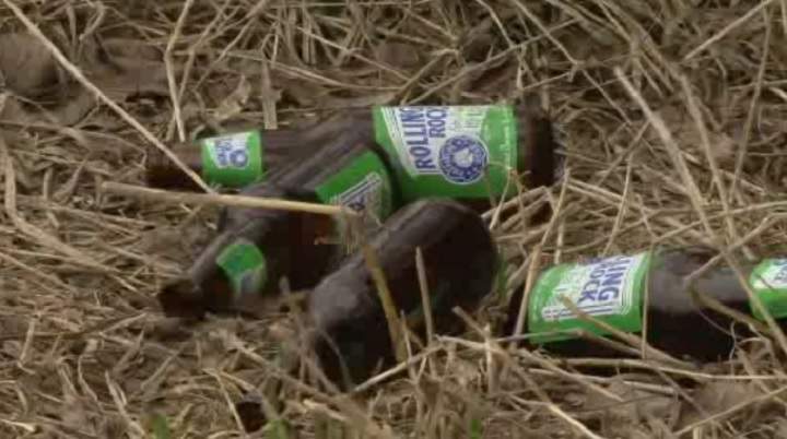 Beer bottles located in Sunnypoint Park in Scarborough on March 20, 2017.
