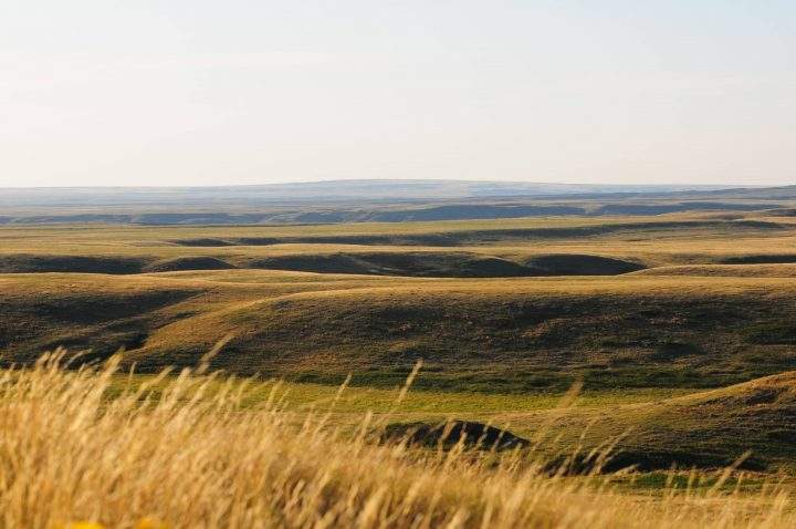 The Wideview Complex is 1,222 hectares and is situated between the two blocks of Grasslands National Park.