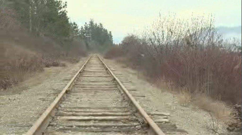 CN Rail train tracks.