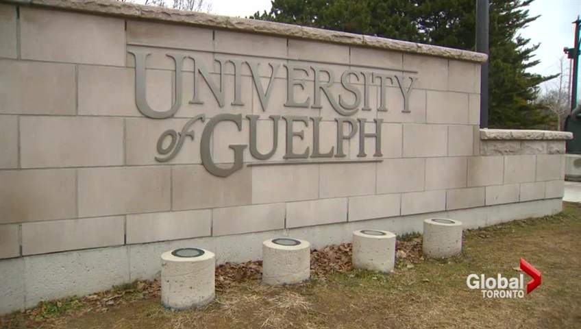 A small explosion was reported on the University of Guelph campus.
