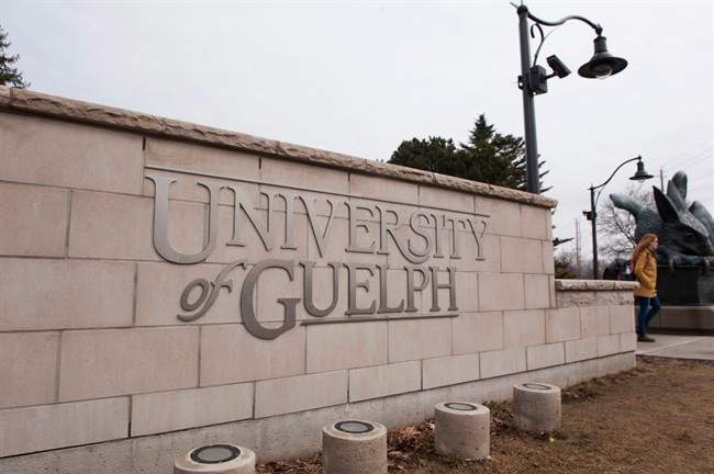 University of Guelph gets $25M from province to reduce carbon footprint - image