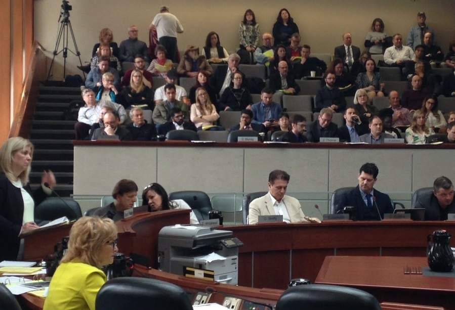 Hamilton councillors heard from 36 delegates over seven hours at last month's LRT meeting.
