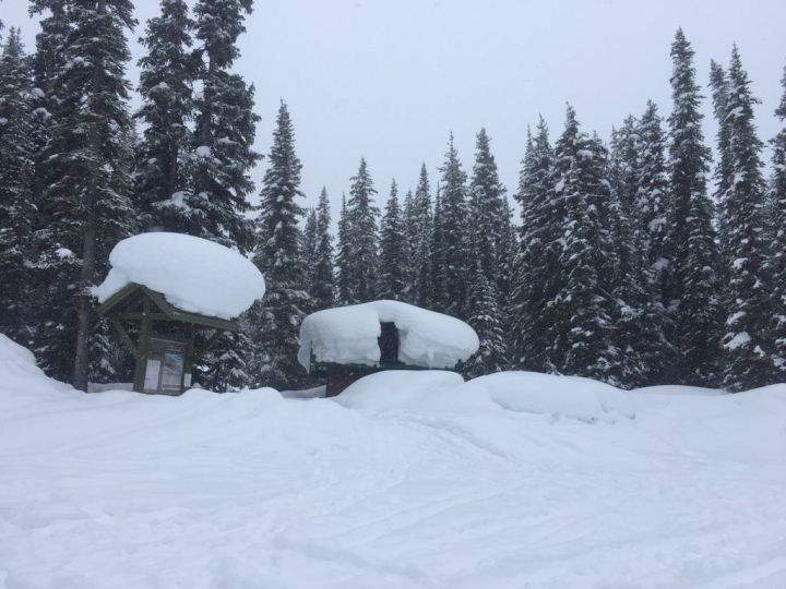 Lake Louise Resort says some facts will be refuted in court.