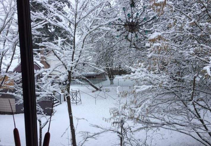 More snow hit Metro Vancouver on Sunday, March 5, 2017.