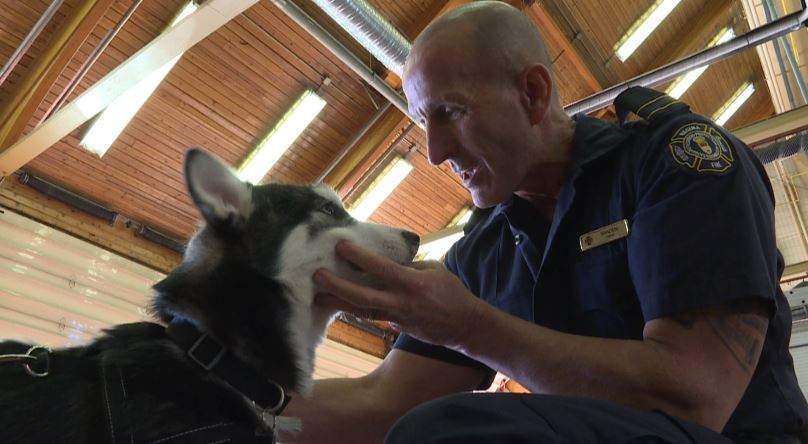 Regina Fire Capt. Ralph Braden reunites with Chopper after aiding in his rescue from drowning.