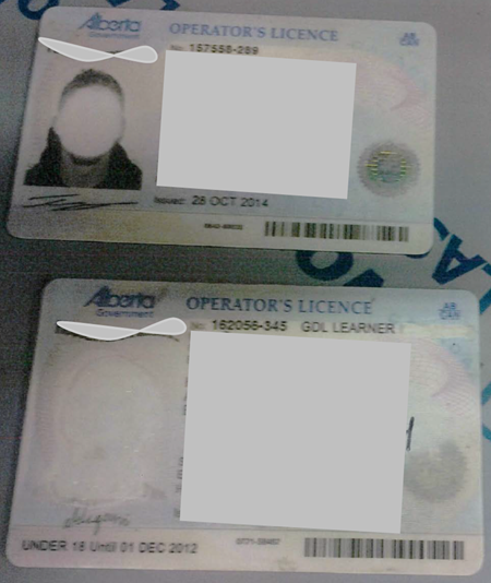 Edmonton police executed a search warrant at a home near 121 Avenue and 59 Street and found a variety of stolen identification, including altered driver’s licences.