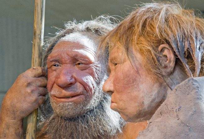 This photo shows reconstructions of a Neanderthal man named "N", left, and woman called "Wilma", right, at the Neanderthal museum in Mettmann, Germany. 

