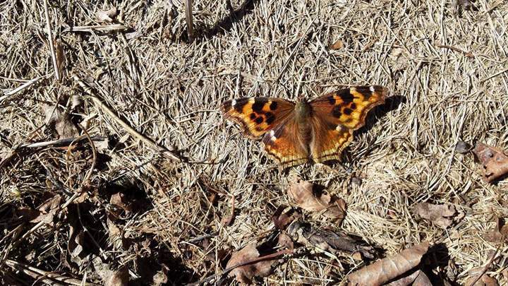 April 12: This Your Saskatchewan photo was taken in Wadena by Fred Ponto.